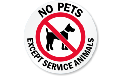 PLAESE NO DOGS ALLOWED